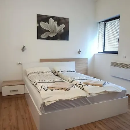 Two Bedroom Close To Gondola Bansko