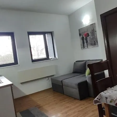 Two Bedroom Close To Gondola Bansko